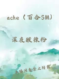 ache（百合SM)