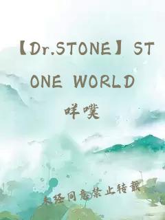 【Dr.STONE】STONE WORLD